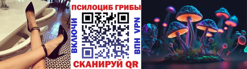 Галлюциногенные грибы Psilocybine cubensis  Купить закладки  Можайск 