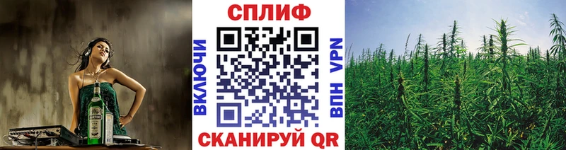 Шишки марихуана THC 21%  Купить где  Можайск 